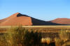 D�ne bei Sossusvlei